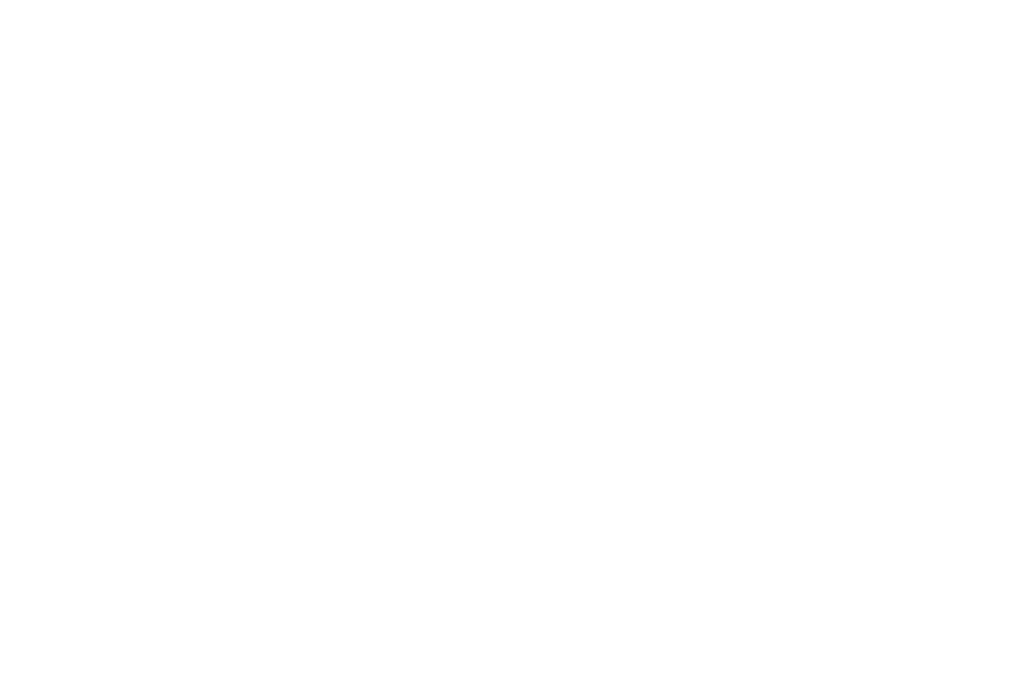 Home Mountain Logo